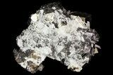 Pyrite, Sphalerite and Quartz Association - Peru #71381-2